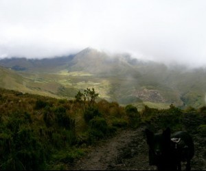 Natural Park Los Nevados Source: Uff.Travel