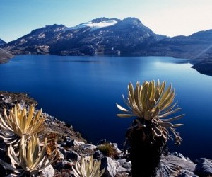 National Park cocuy Source Uff.travel